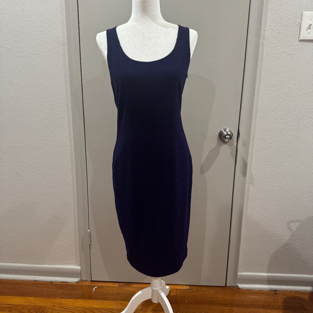 Royal Purple Rachel Roy Sleeveless Dress